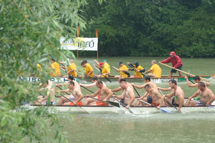 mini-Voluta20090489.JPG