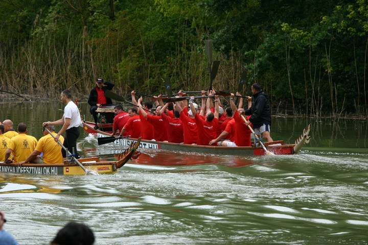 mini-Voluta20090792.JPG