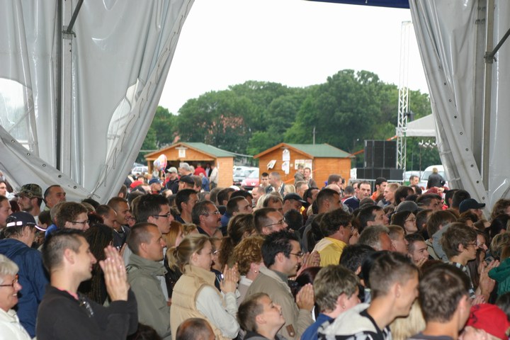 mini-Voluta20090856.JPG