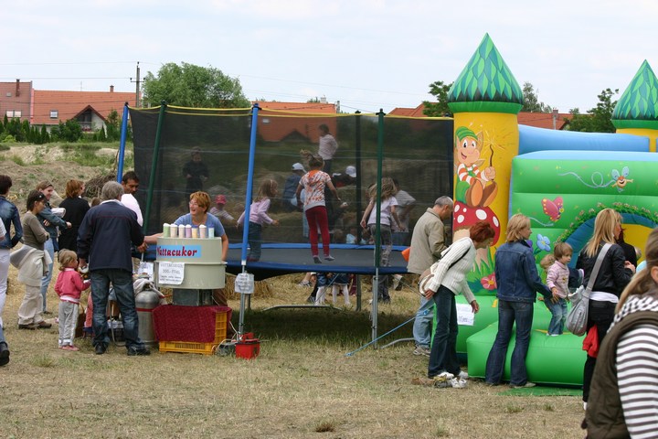 mini-Voluta20090343.JPG