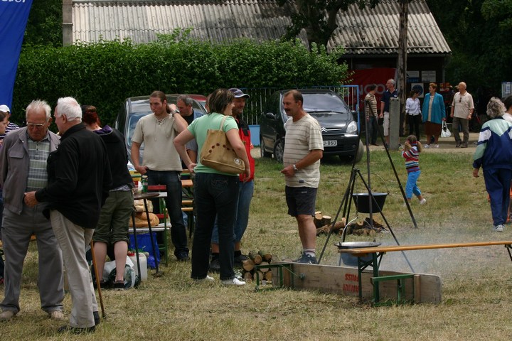 mini-Voluta20090346.JPG