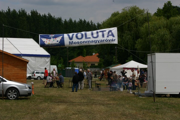 mini-Voluta20090357.JPG