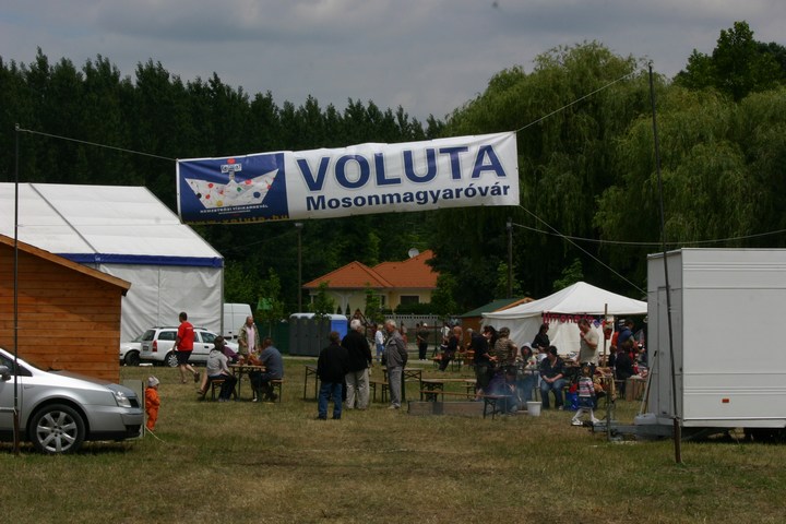 mini-Voluta20090358.JPG