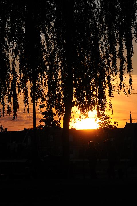 DSC_7519.JPG