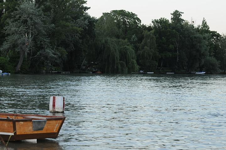 DSC_7527.JPG