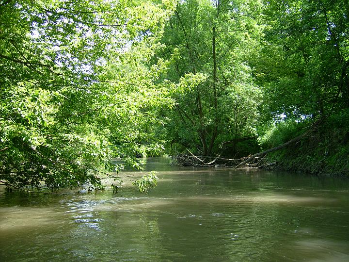 DSCI0019.JPG