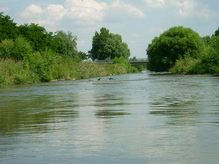 DSCI0039.JPG