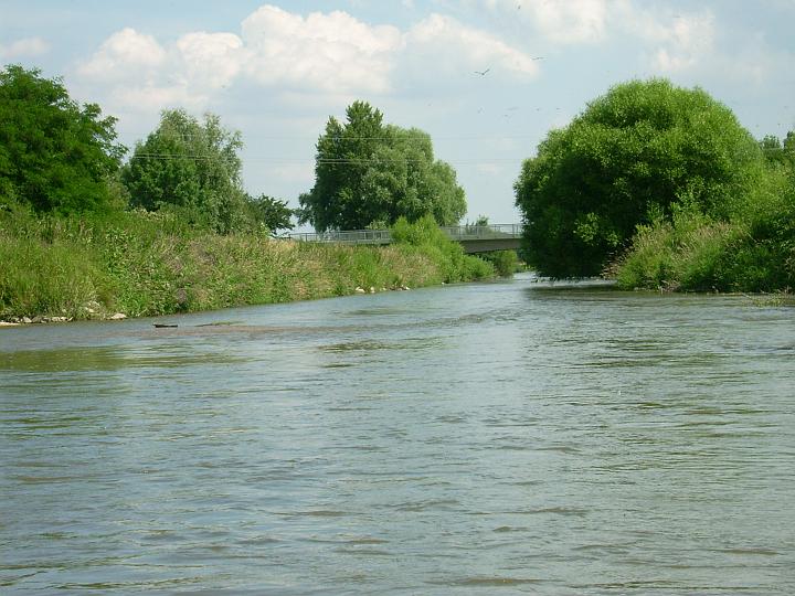 DSCI0040.JPG