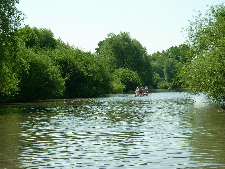 DSCI0046.JPG