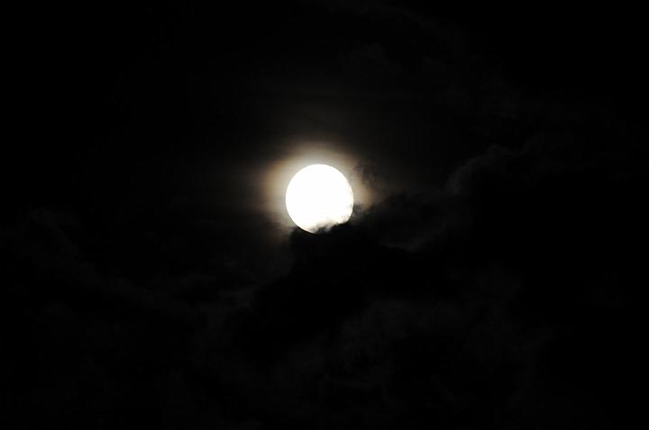 DSC_7955.JPG
