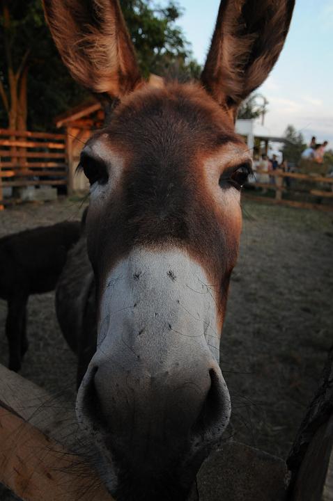 DSC_7511.JPG