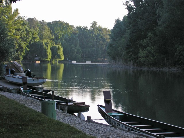 Voluta Mosonmagyarovar
