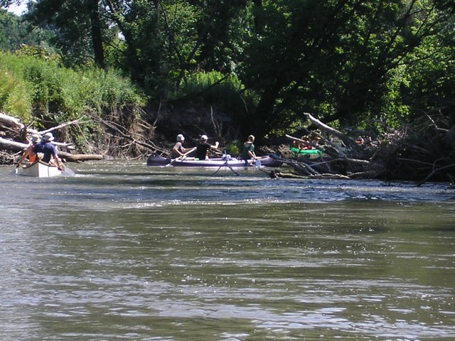 Voluta Mosonmagyarovar