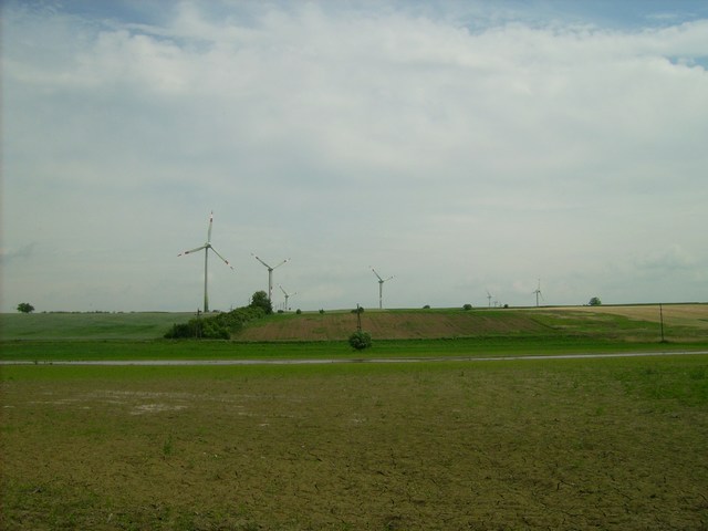 Lajta - Voluta